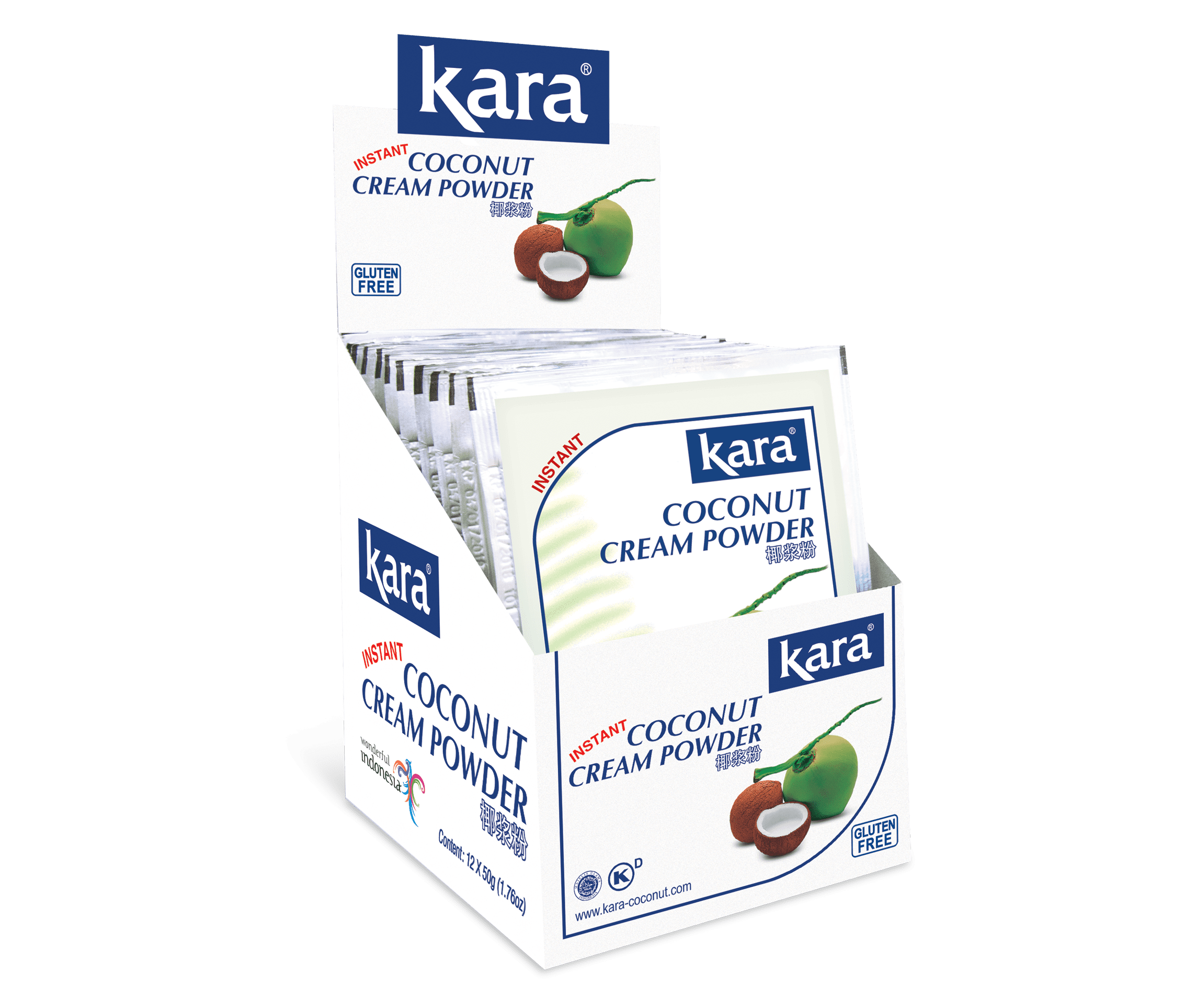 POWDER COCONUT CREAM POWDER PK